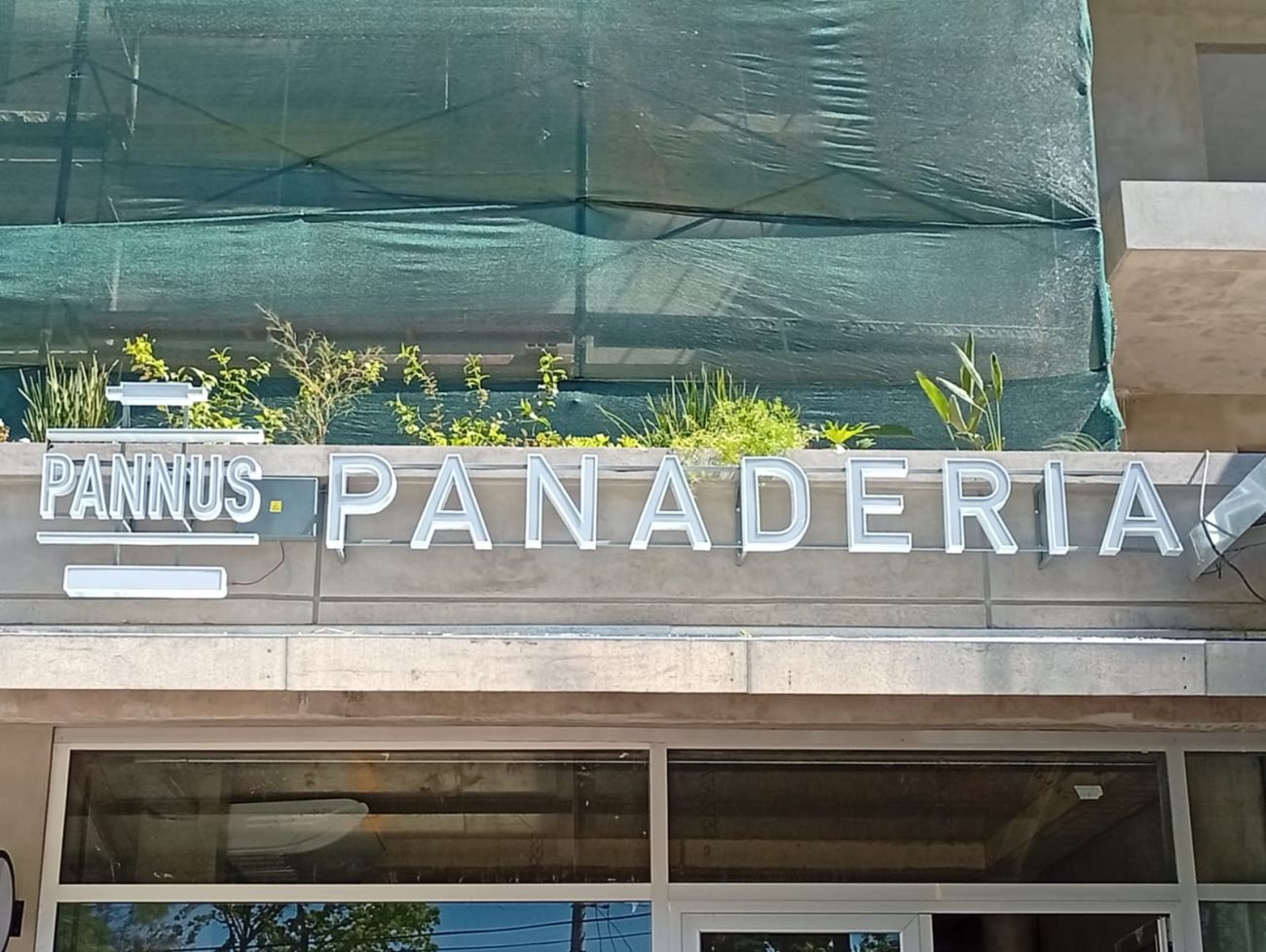 letracorporea004